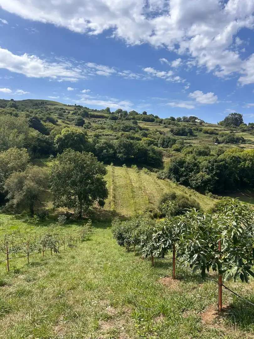Country house zum Verkauf in El Callejo - La Pesquera - La Arenosa 