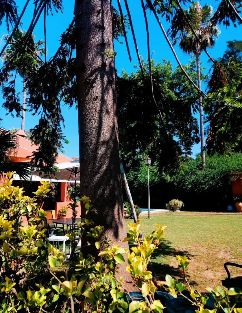 Houses for sale in Los Pinos