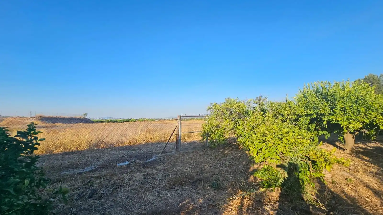 Finca rústica en venta en Librilla