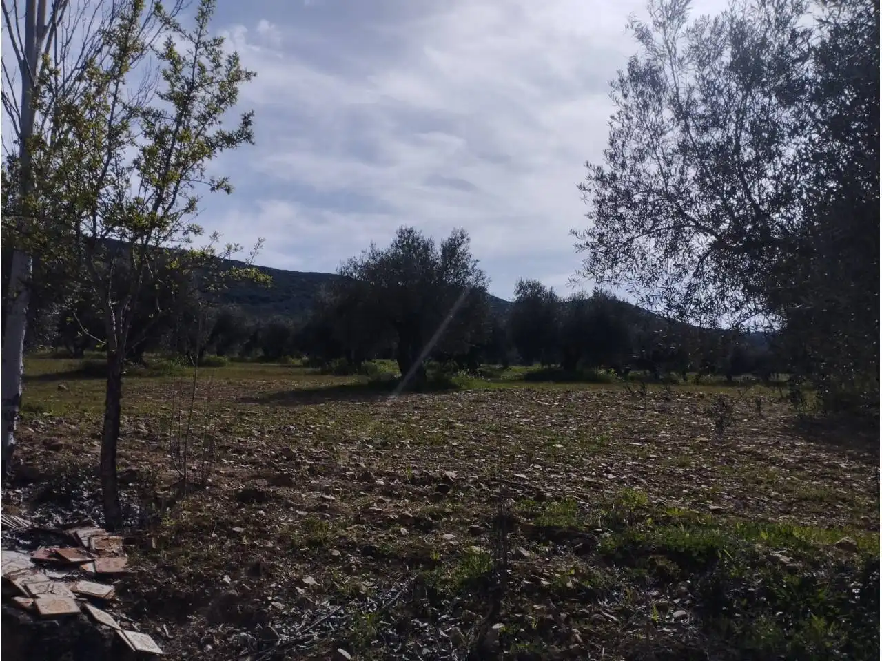 Terrenos y solares en venta en Badajoz, imagen 31