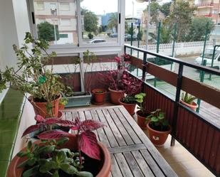 Terrassa de Pis en venda en Laredo amb Calefacció, Terrassa i Moblat