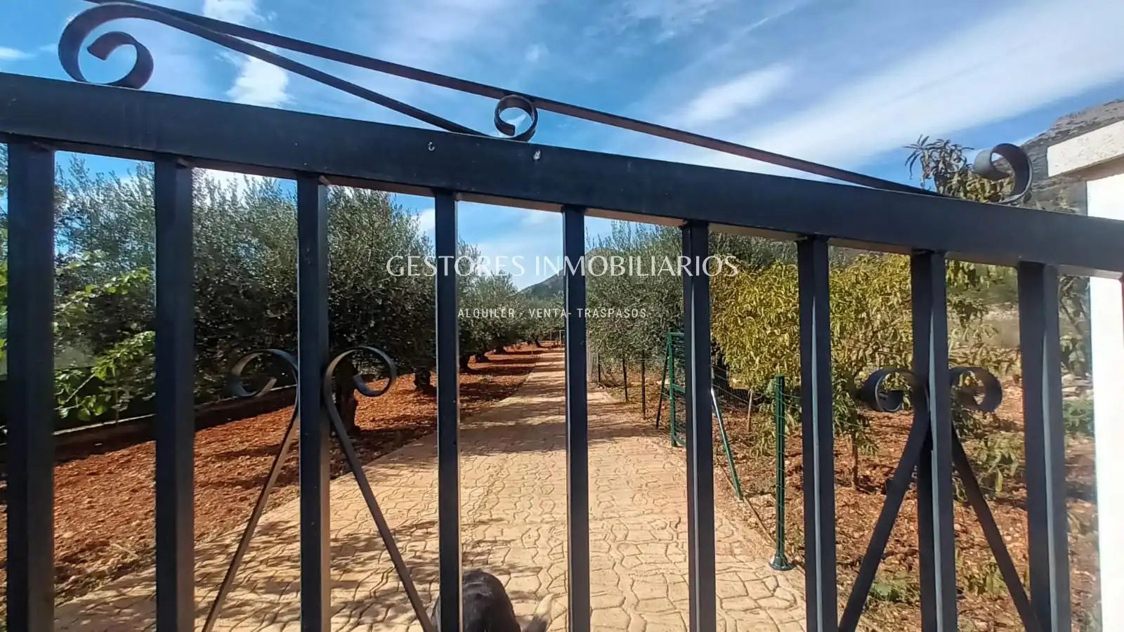 Casa o xalet en venda en Gaianes, Alicante