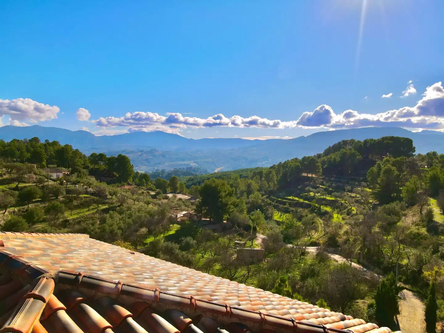 Vista exterior de Finca rústica en venda en Cocentaina amb Calefacció, Jardí privat i Parquet
