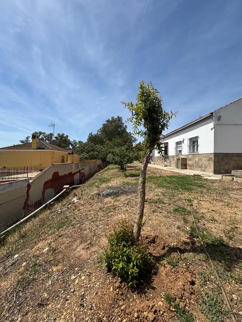 Villa mit Garten zum Verkauf in La Puebla del Río, imagen 2