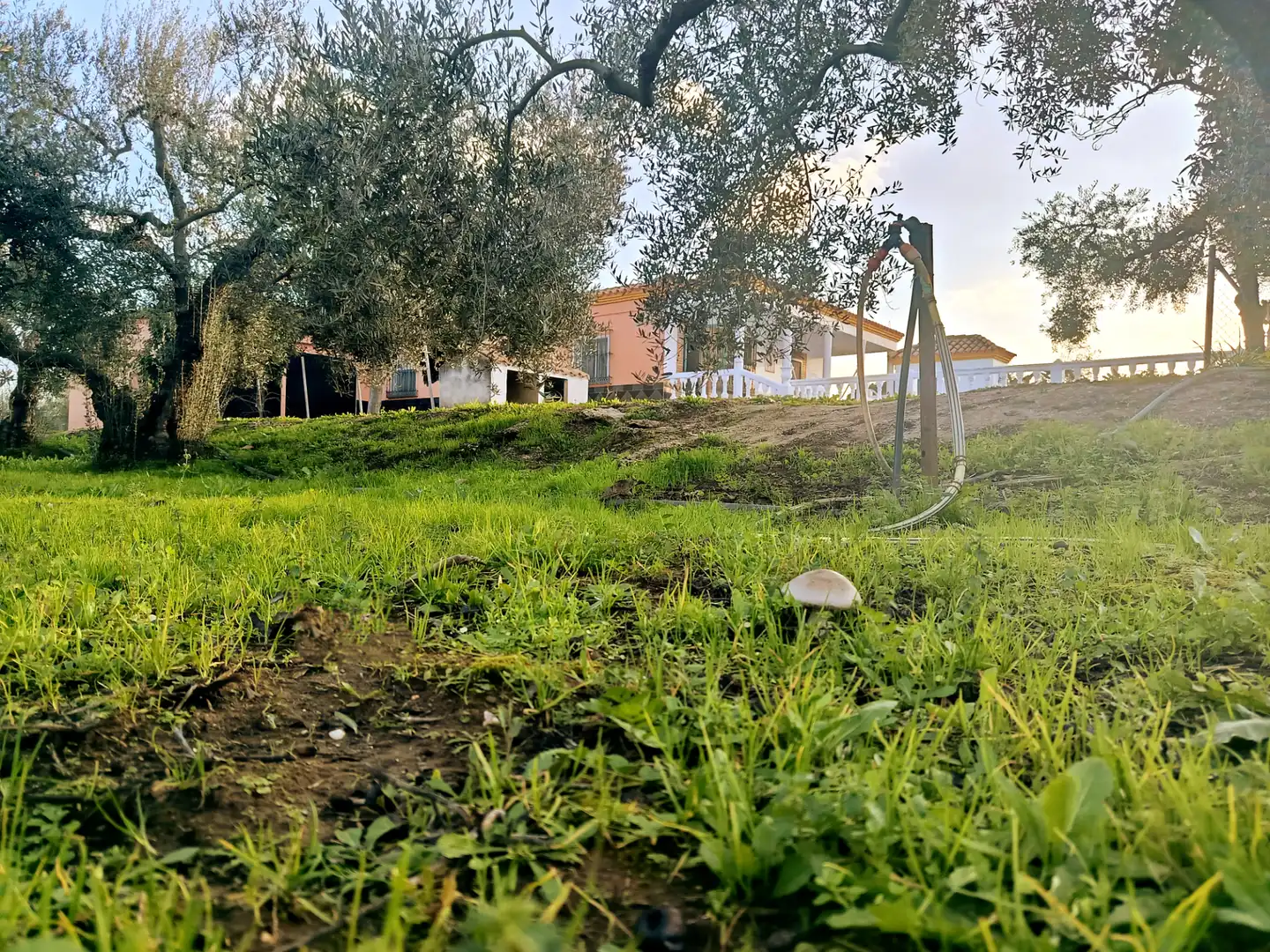 Country house zum Verkauf in Hinojos mit Privatgarten, Terrasse und Schwimmbad