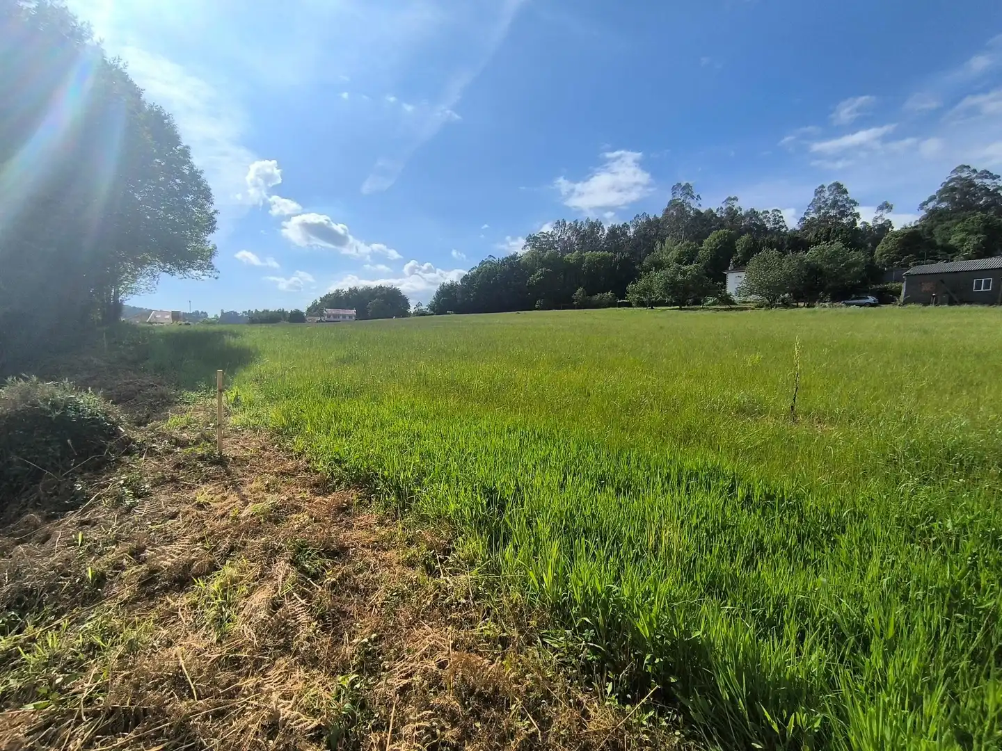 Terreni e lotti in vendita a Lugar IGREXARIO EIXO, imagen 16