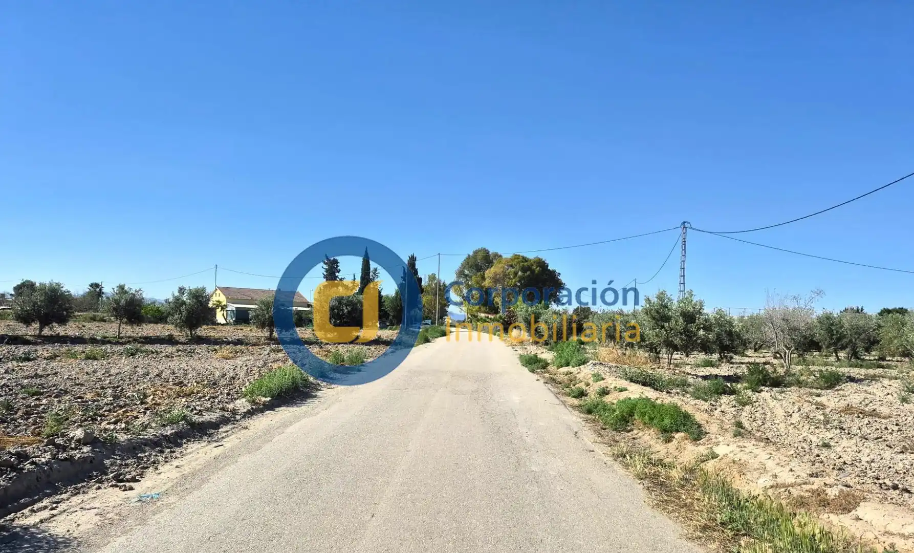 Country house zum Verkauf in Almendricos