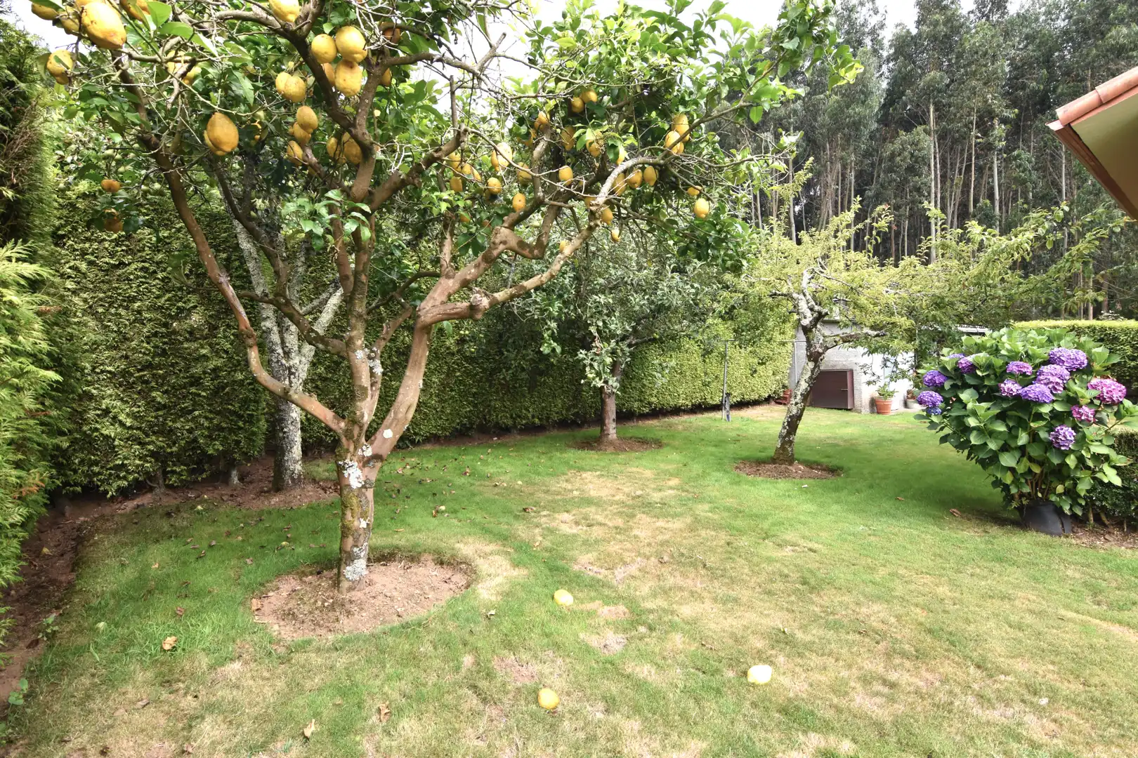 Jardín de Casa o chalet en venta en Oleiros con Calefacción, Jardín privado y Parquet