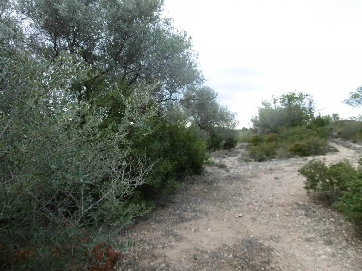 Casa rústica en venda a Vall d'Alba, imagen 13