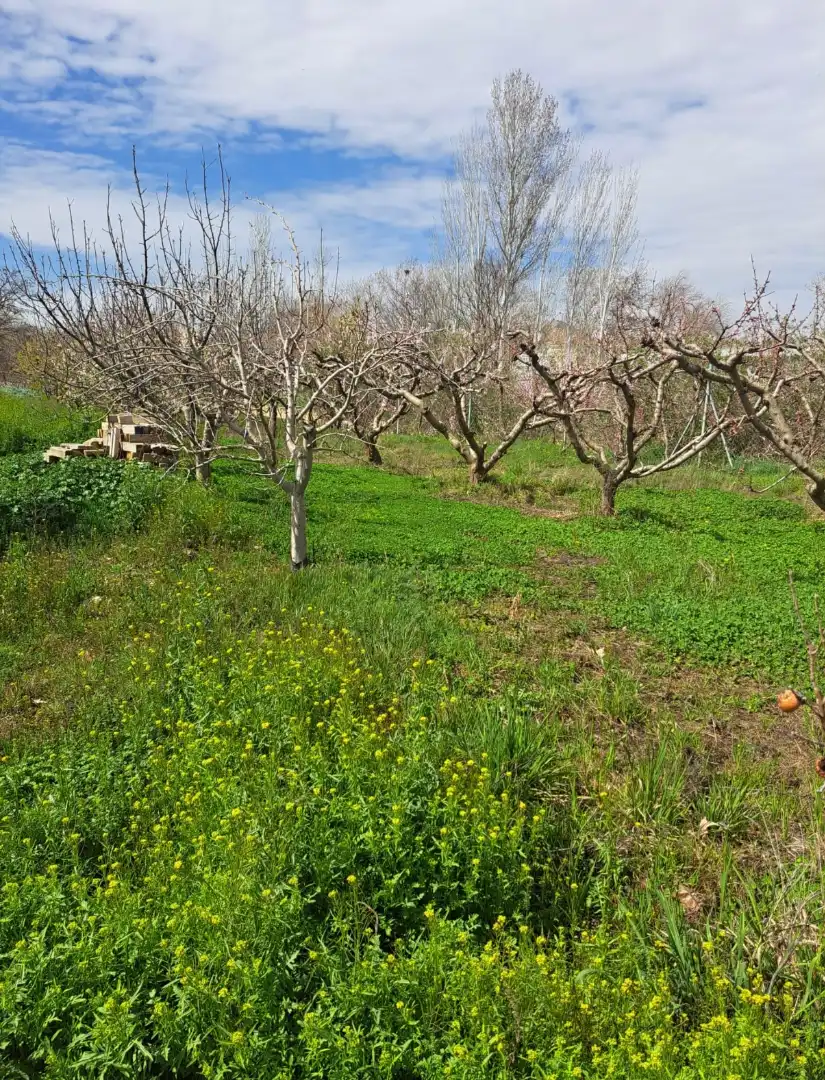 Rustikales Grundstück zum Verkauf in Guadix, imagen 15