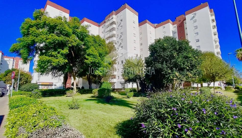 Foto 1 de Pis en venda a Chapín - Campus Universitario - Navinco, Cádiz