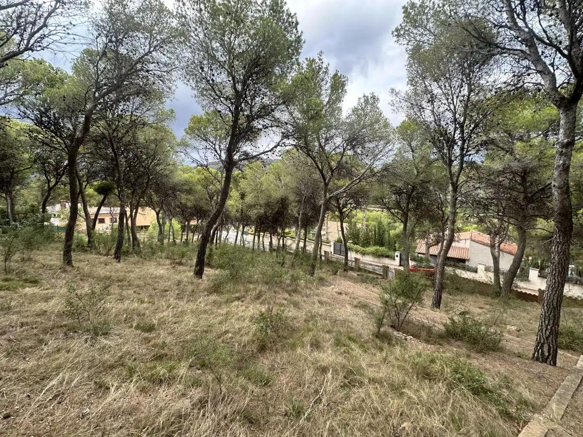 Wohnbaugrundstück zum Verkauf in Torres Torres, imagen 35