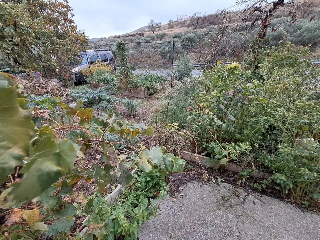 Jardín de Finca rústica en venta en Clavijo con Jardín privado y Terraza