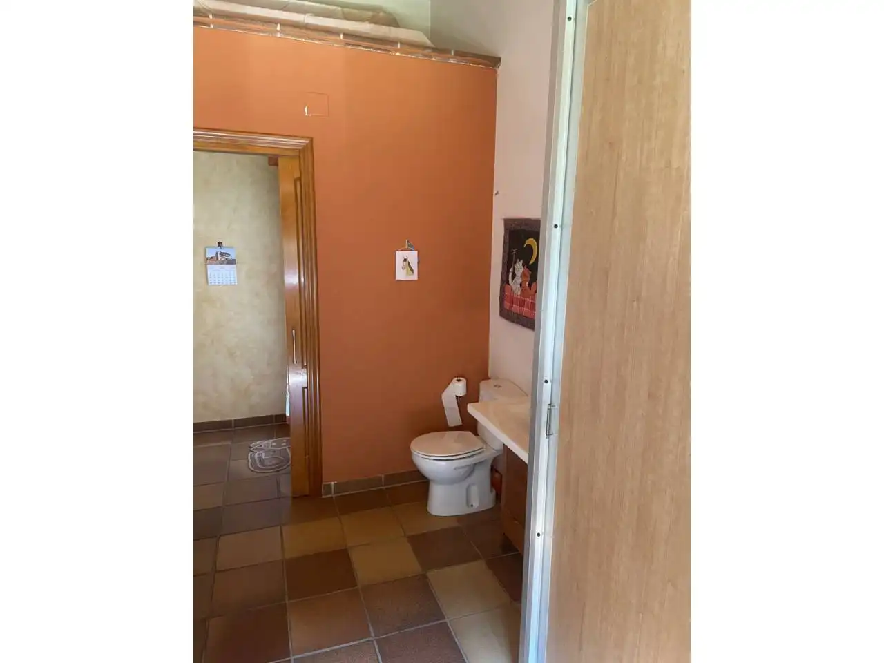 Baño de Casa o chalet en venta en Móra d'Ebre con Aire acondicionado, Calefacción y Jardín privado