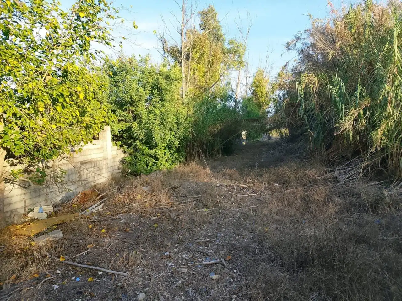 Terrain rustique à vendre à Camino Puça 1, imagen 24