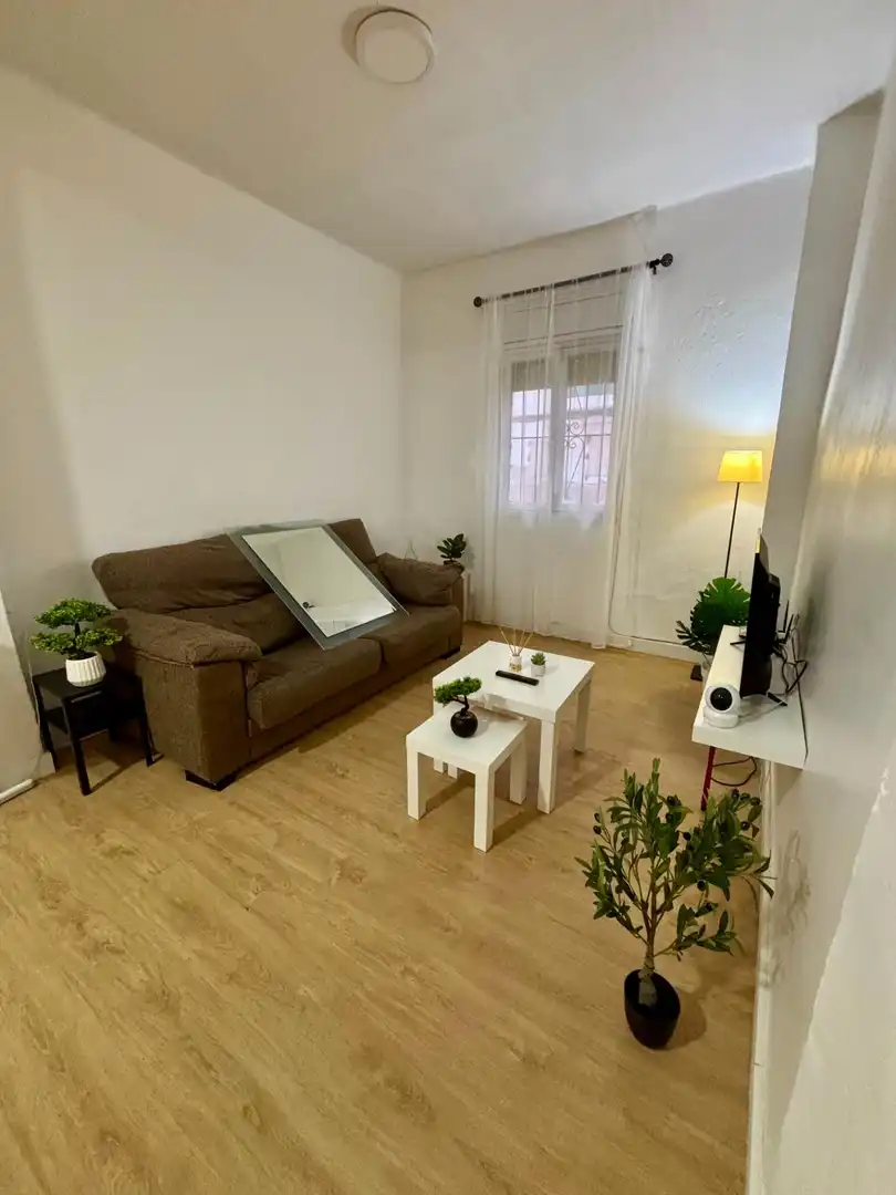 Sala d'estar de Planta baixa de lloguer en Elche / Elx amb Moblat