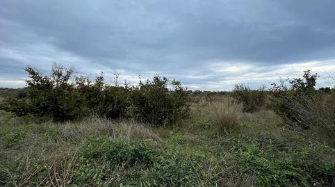 Photo 3 of Residential for sale in 31, Parcela 25, Cambrils Port, Tarragona