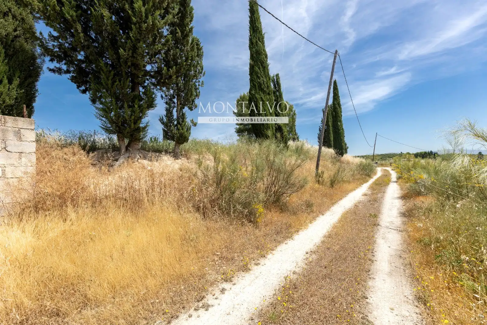 Land for sale in Pinos Puente
