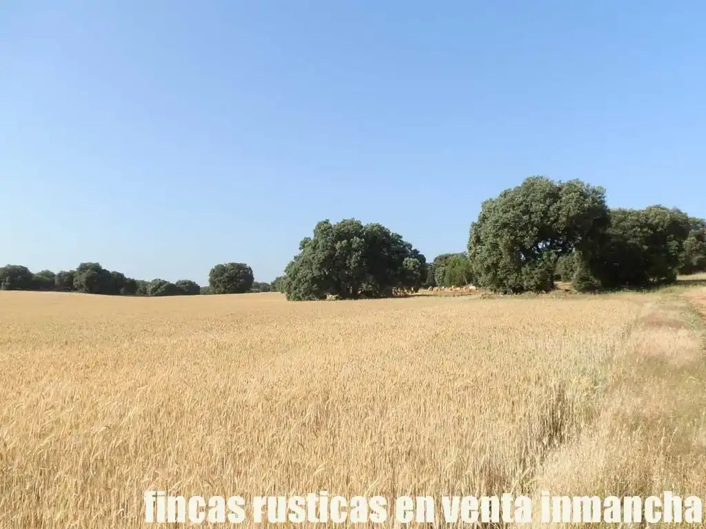 Terreno en venta en Alcaraz