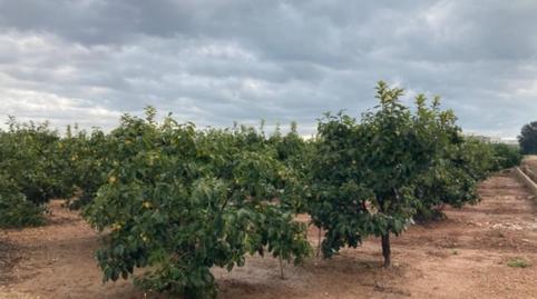 Foto 3 de Terreno en venta en Barranco de Los Pilares, Quatretonda, Valencia