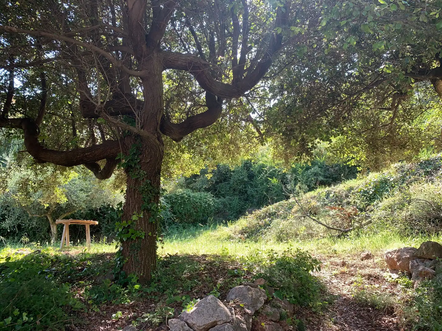 Wohnbaugrundstück zum Verkauf in Corbera de Llobregat, imagen 6