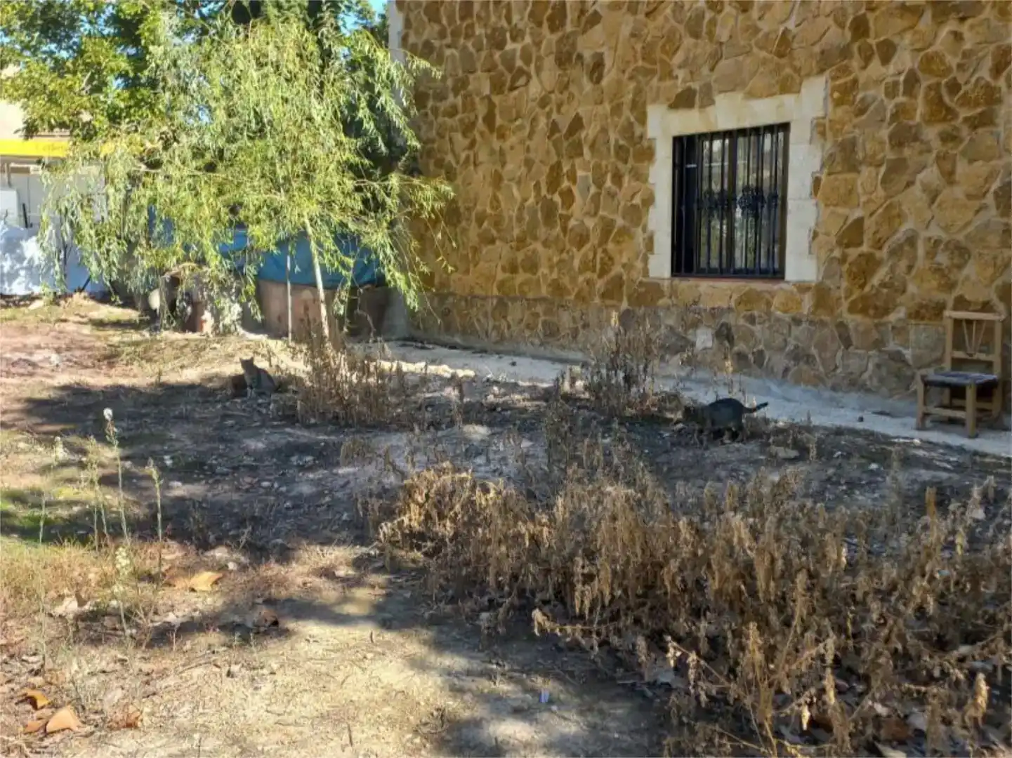 Finca rústica en venda en Villapalacios