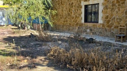 Foto 4 de Finca rústica en venda a Calle Camino del Rio, 3, Villapalacios, Albacete