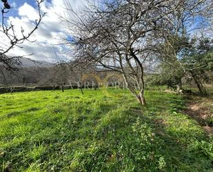 Land for sale in Llanes