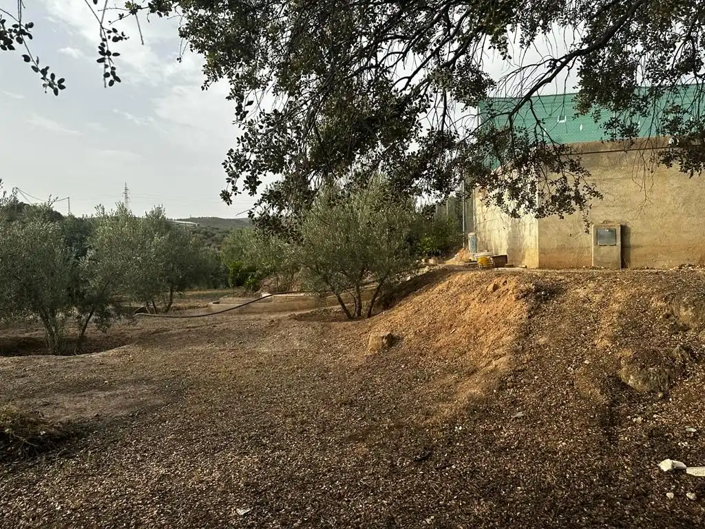 Terrain rustique à vendre à Peligros, imagen 10