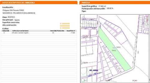 Foto 2 de Terreny en venda a Diseminado Gamonales, Pelabravo, Salamanca