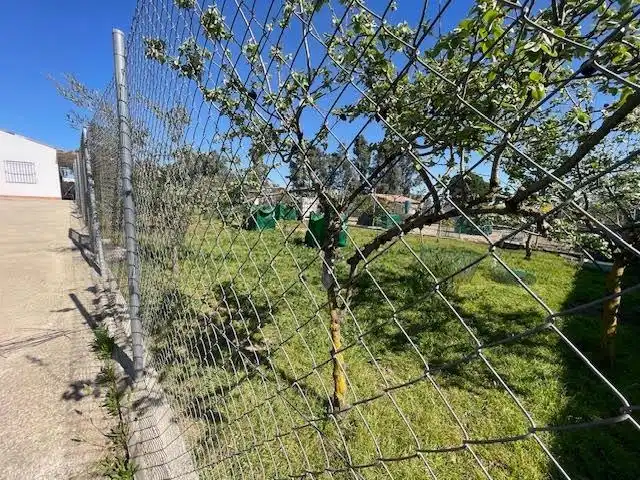 Terreni e lotti in vendita a La Puebla del Río, imagen 17