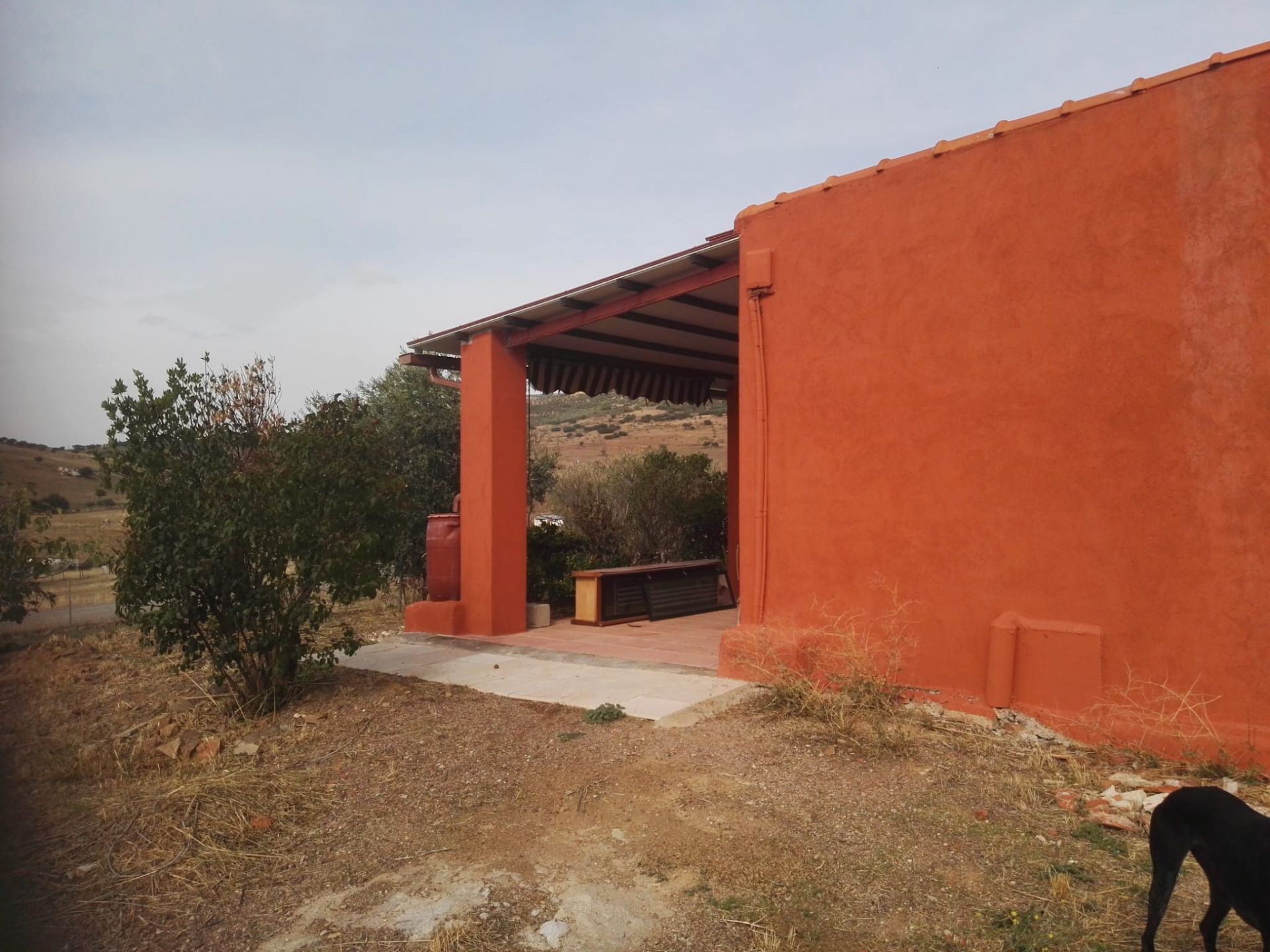 Vista exterior de Finca rústica en venta en Hinojosas de Calatrava con Trastero