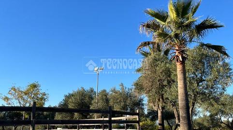 Photo 3 of Country house for sale in Carmona, Sevilla