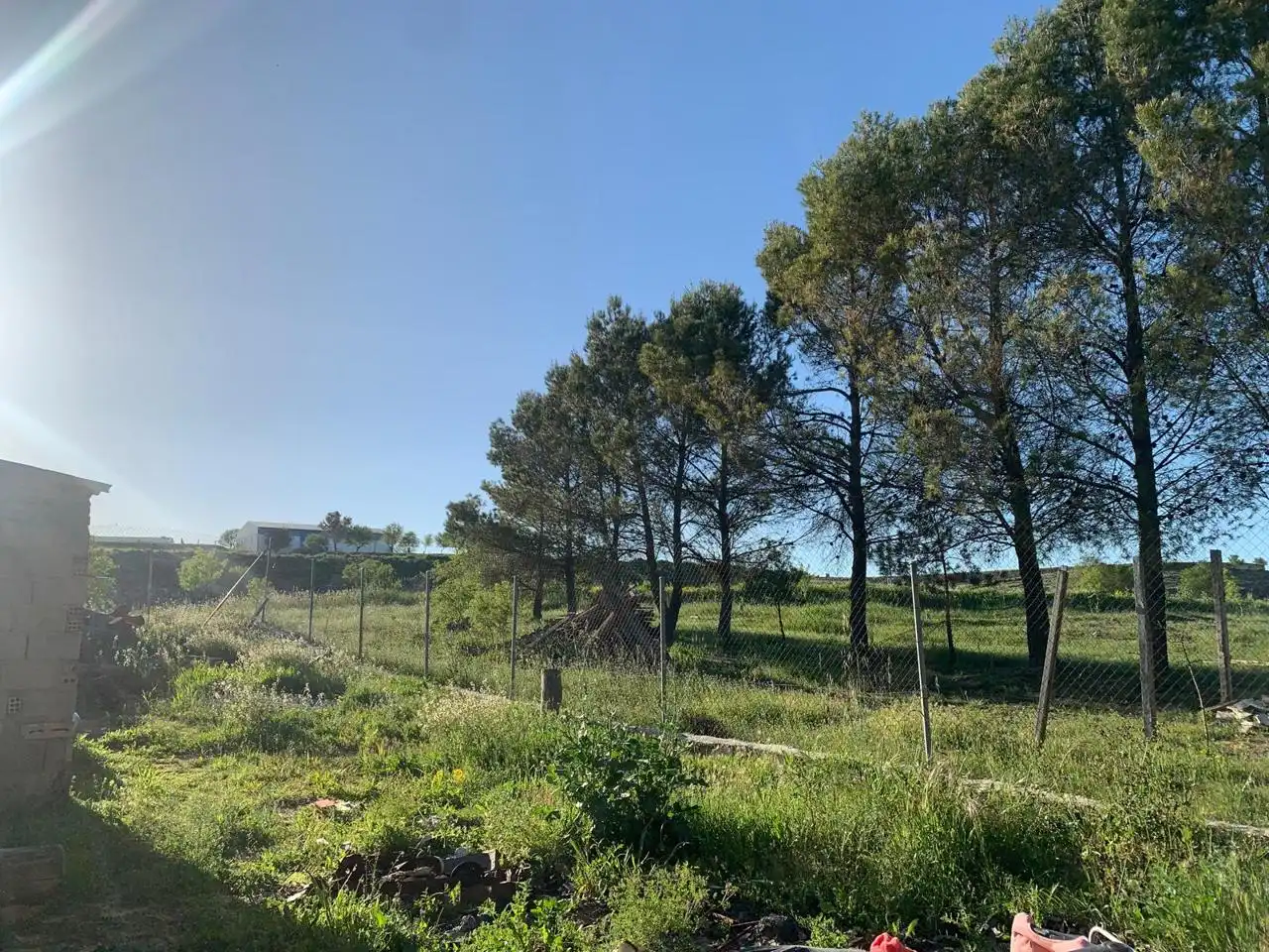 Terreni e lotti in vendita a Carrascosa, imagen 12