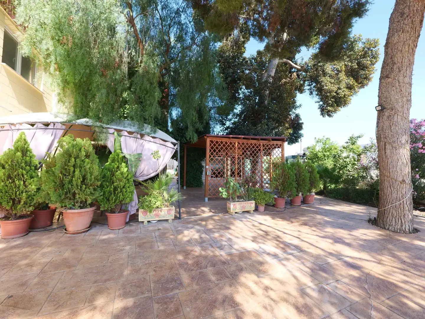 Terraza de Nave industrial en venta en Almoradí