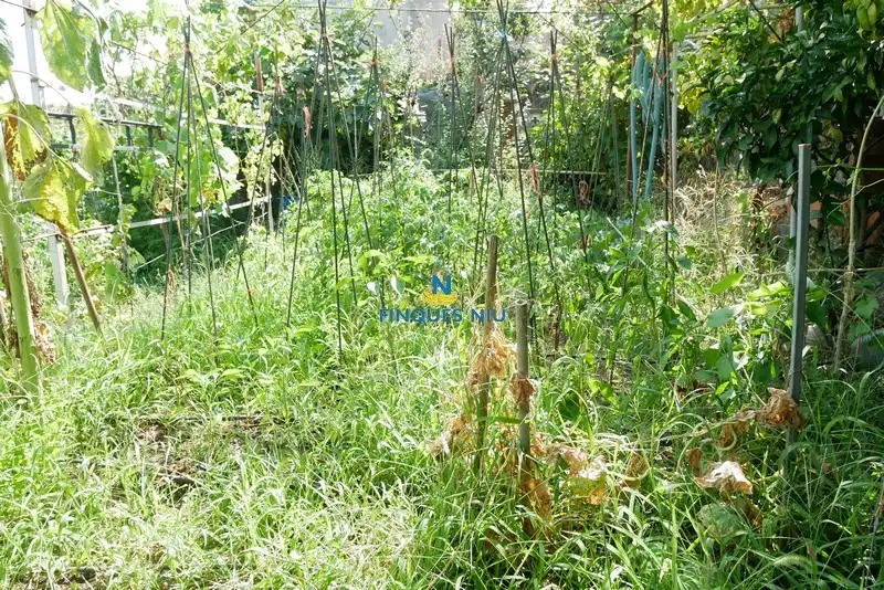Casa amb jardí en venda a Avinguda Arbres 165, imagen 31