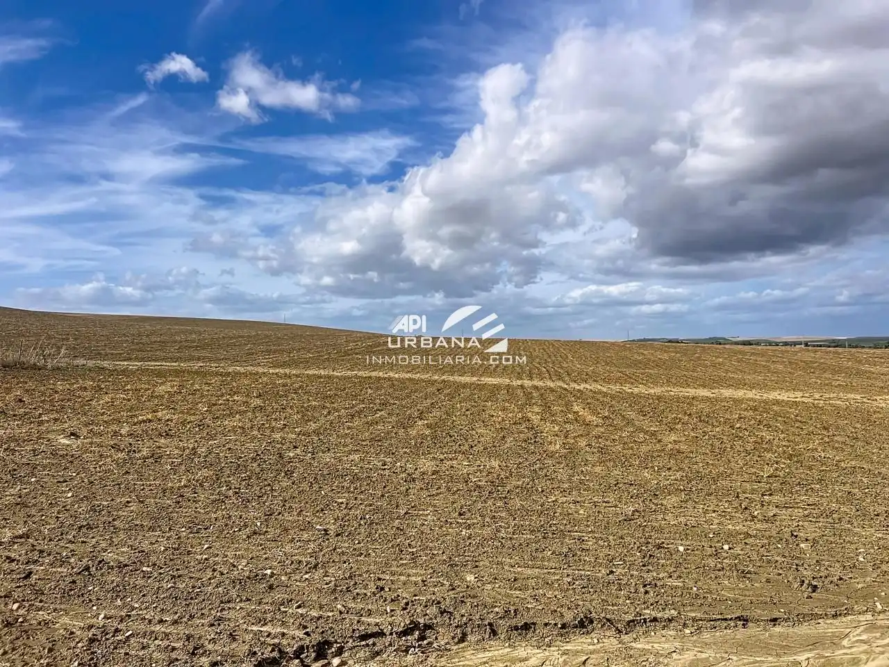 Terrain rustique à vendre à Marchena