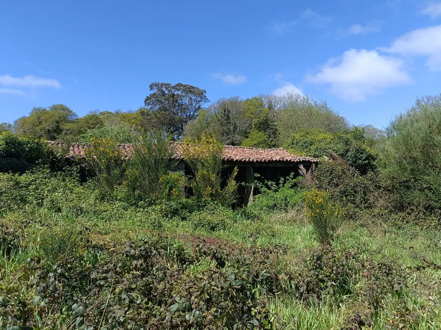Casa con jardín en venta en Curtis, imagen 14