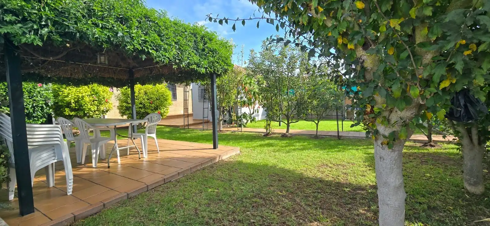 Jardí de Casa o xalet en venda en El Puerto de Santa María amb Aire condicionat, Jardí privat i Terrassa