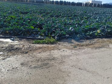 Rustikales Grundstück zum Verkauf in Puerto Lumbreras