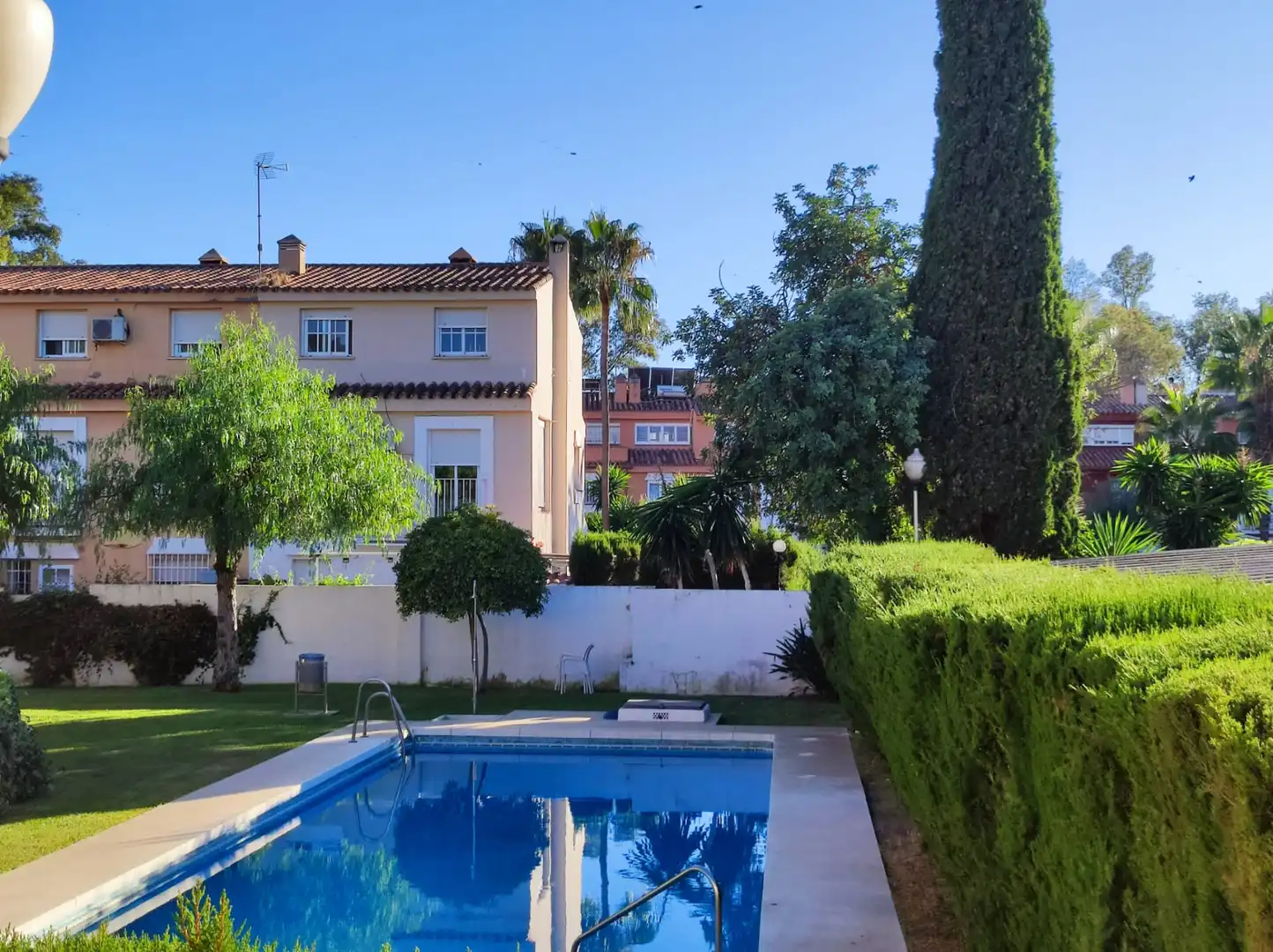 Appartamento con piscina in affitto a Calle Rogelio Oliva, imagen 30