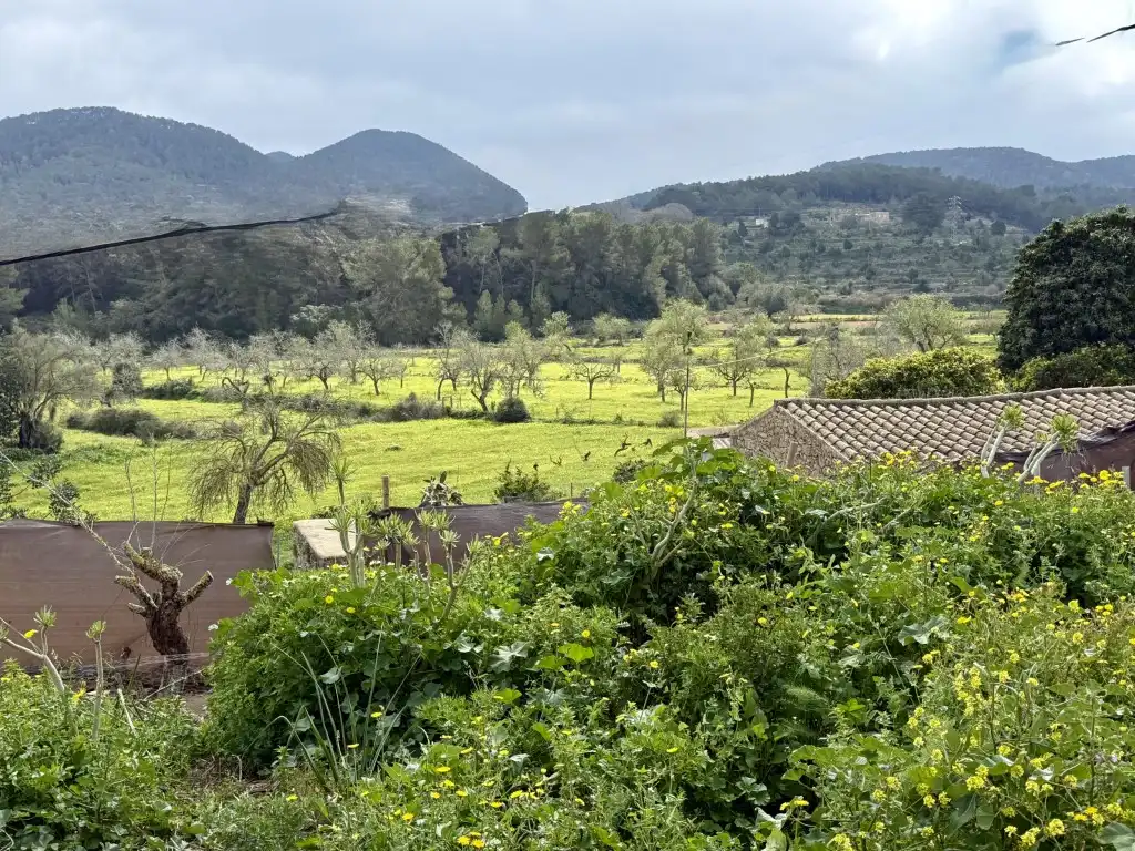 Jardí de Casa o xalet en venda en Sant Josep de sa Talaia
