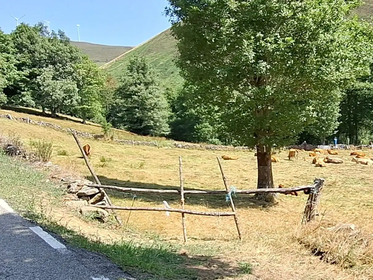 Casa rústica amb jardí en venda a Lugar la Sia, 62 62, imagen 6