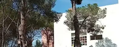 Piso en venta en Plaça Navacerrada, imagen 15