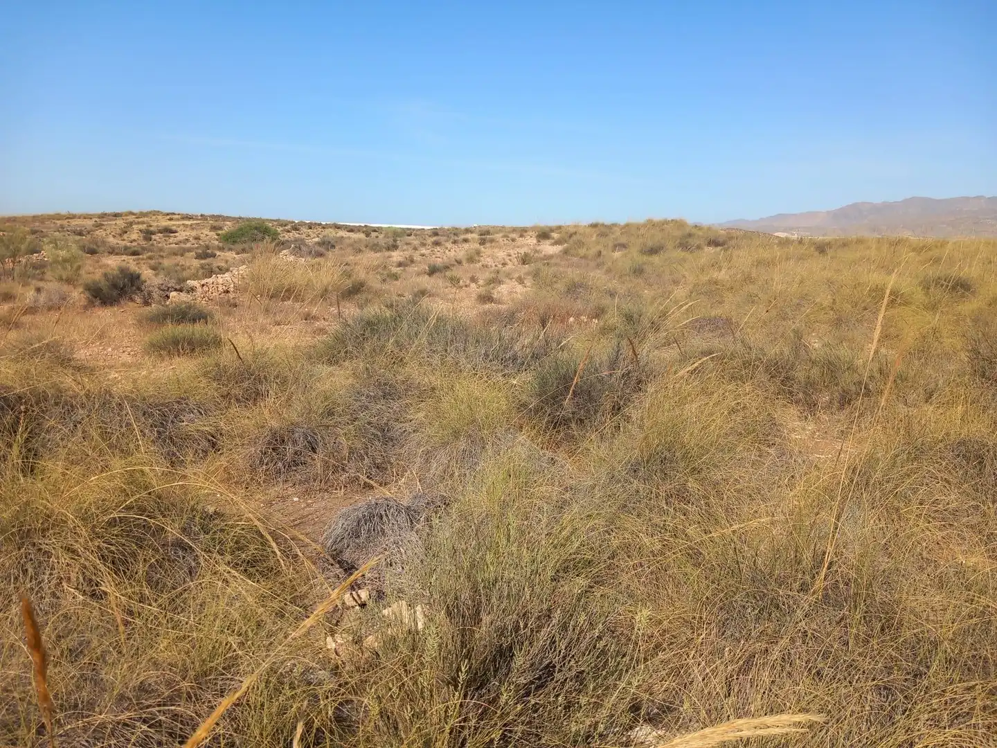 Terreny rústic en venda a San Isidro - Campohermoso, imagen 67