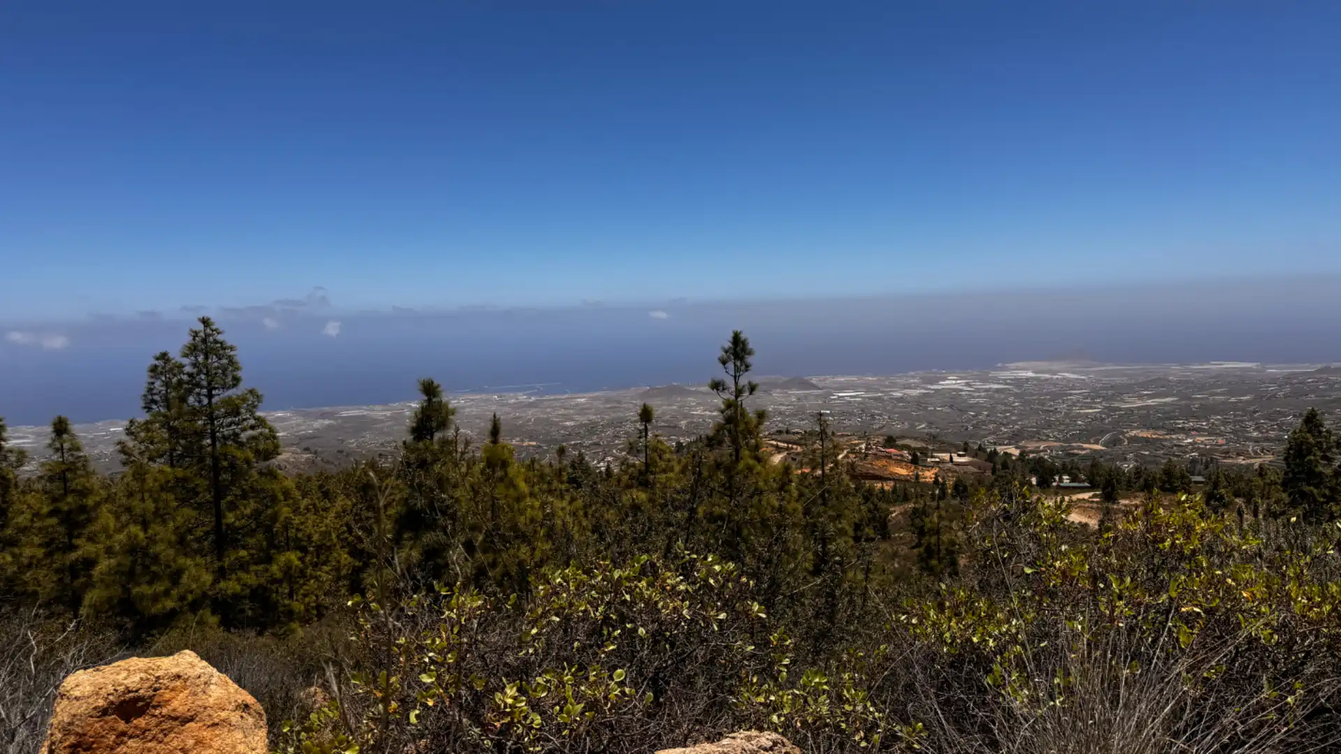 Vista exterior de Finca rústica en venta en Granadilla de Abona con Calefacción, Jardín privado y Parquet