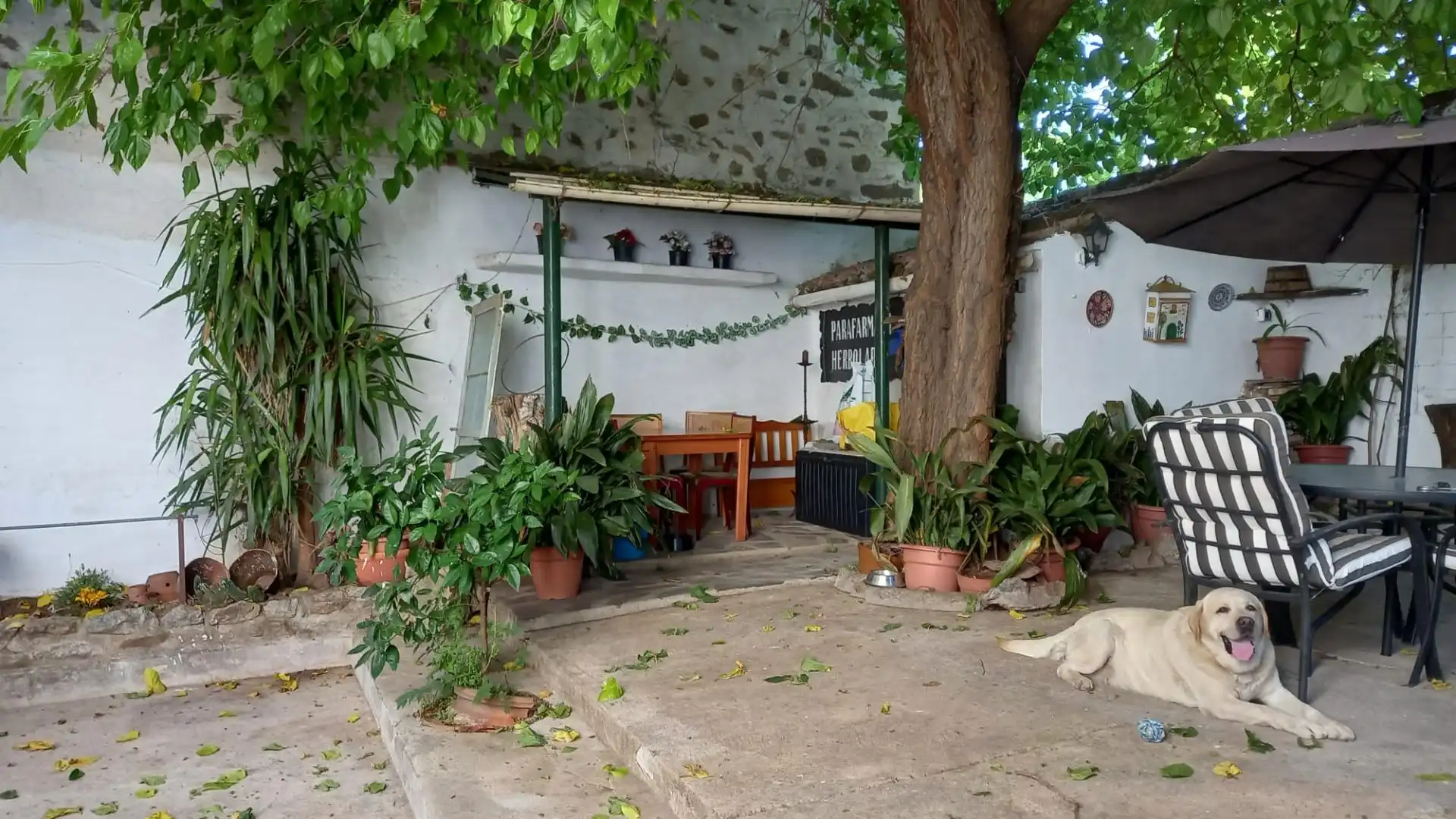 Maison à vendre à Brozas, imagen 2