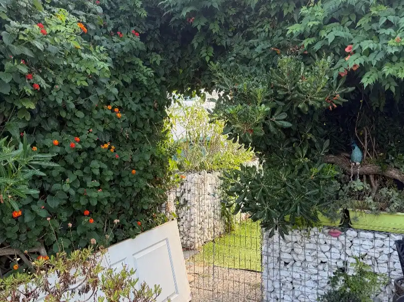 Apartament amb jardí en venda a Carrer la musclera 47, imagen 2