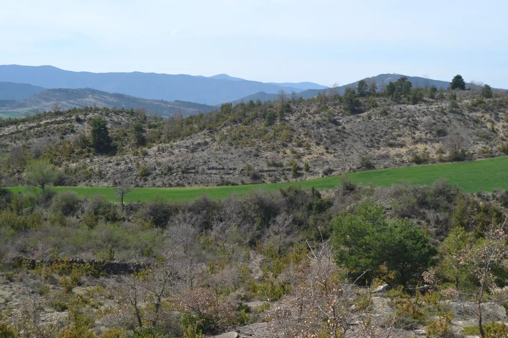 Country homes for sale in Sabiñánigo  with Private garden