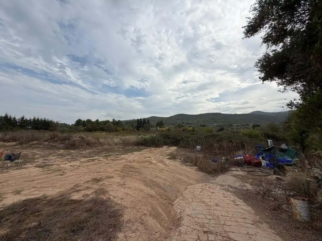 Casa rústica amb terrassa en venda a Altura, imagen 100